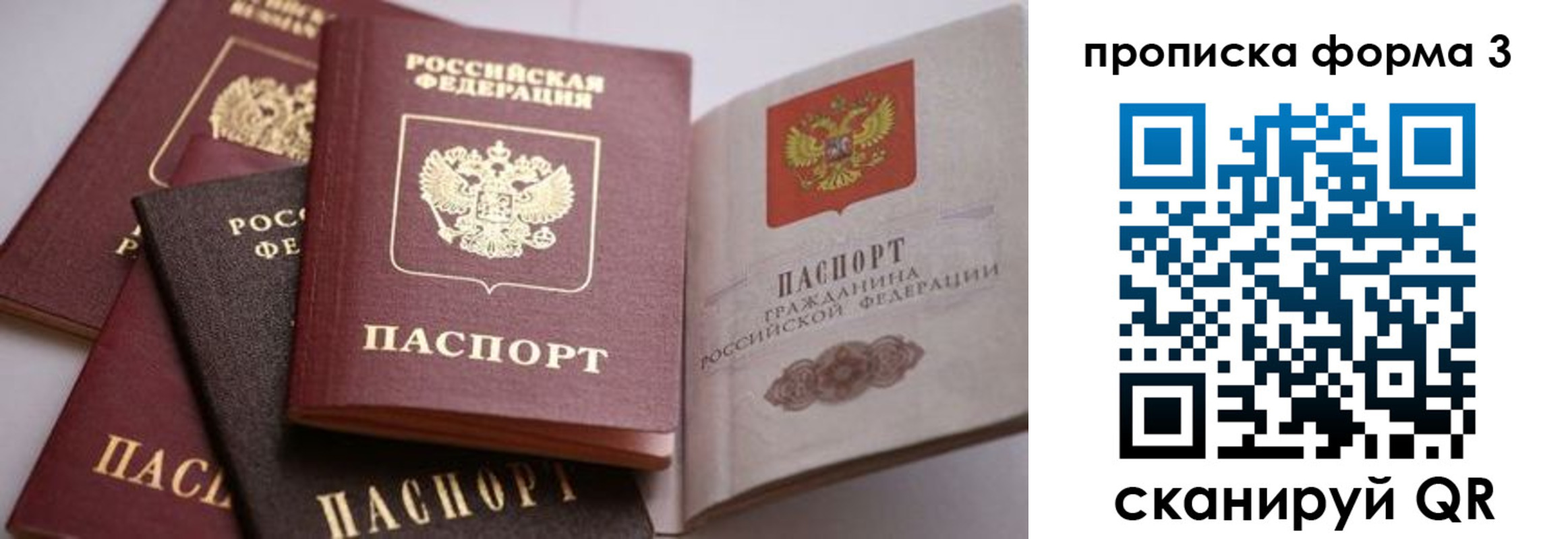 прописка для школы в Каменке